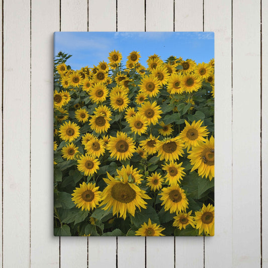 Radiant Sunflowers on Canvas